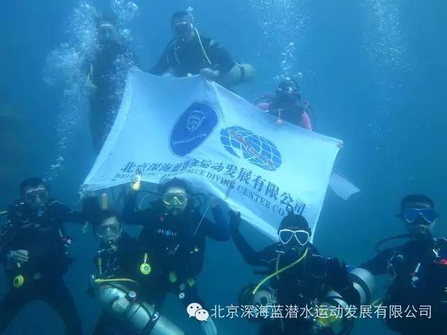 大鸡香烟多少钱一条，要准确价